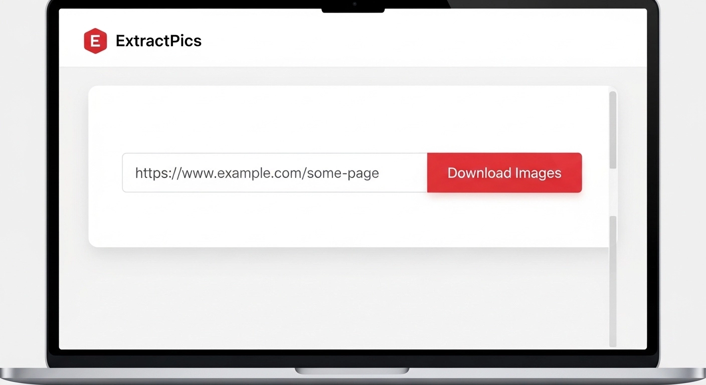 paste-url-in-bulk-image-downloader.webp